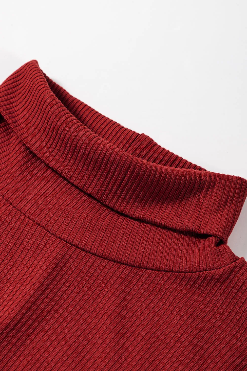 Chic Ribbed Long-Sleeve Turtleneck Dress