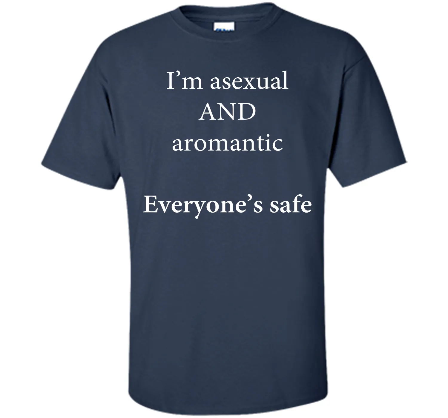 I'm Asexual and Aromantic, Everyone's Safe T-Shirt