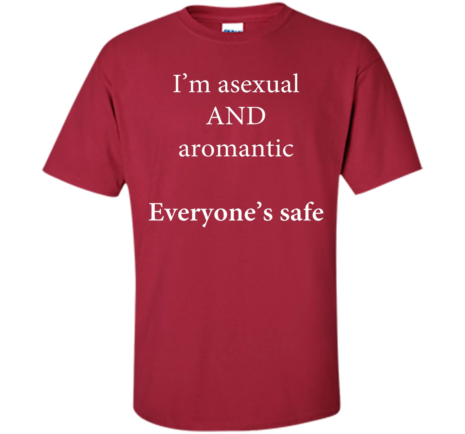 I'm Asexual and Aromantic, Everyone's Safe T-Shirt