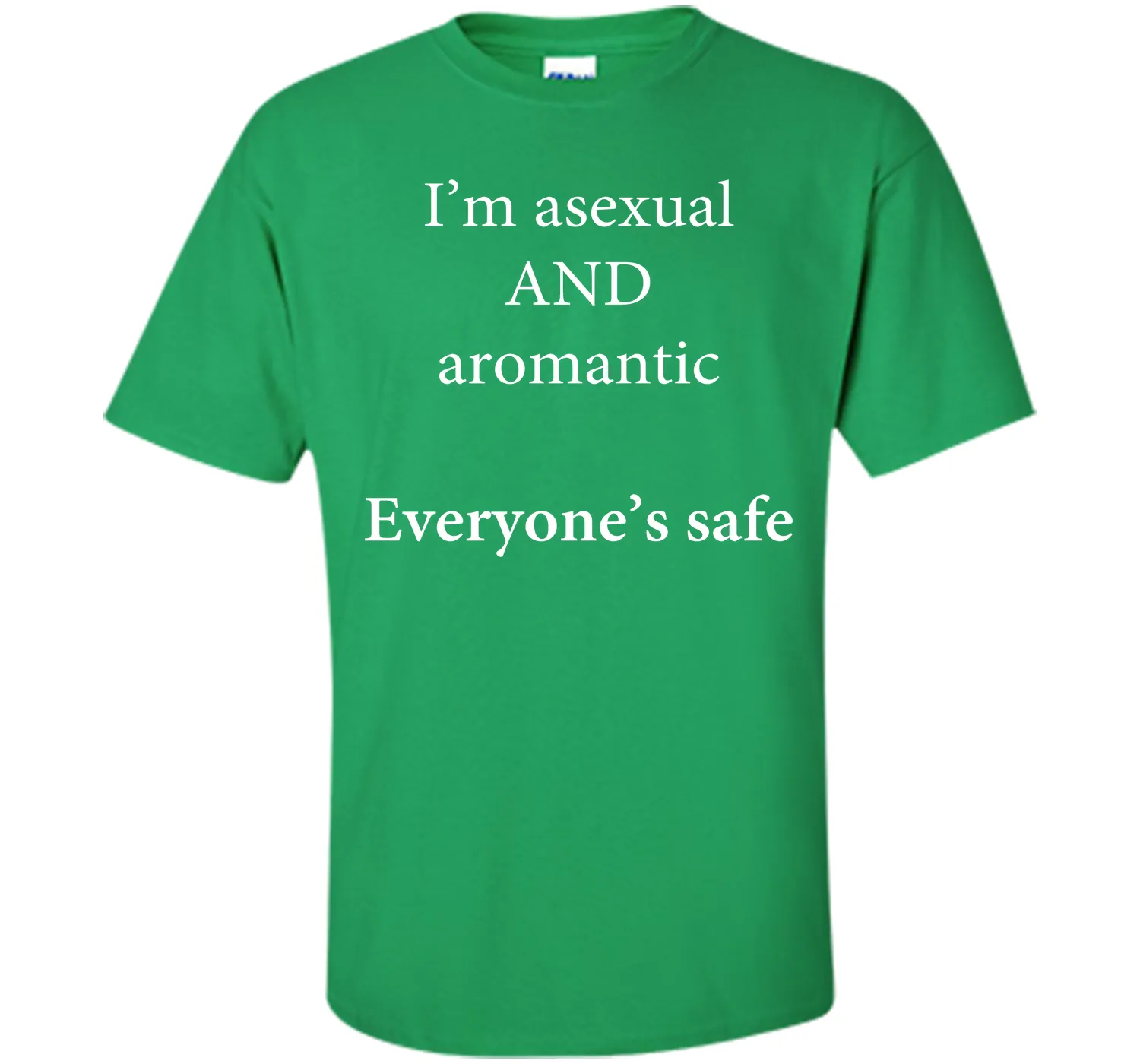 I'm Asexual and Aromantic, Everyone's Safe T-Shirt
