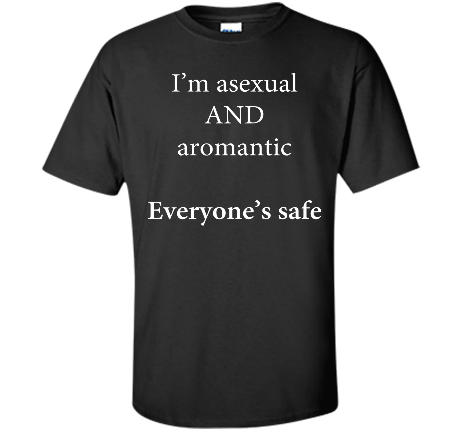 I'm Asexual and Aromantic, Everyone's Safe T-Shirt