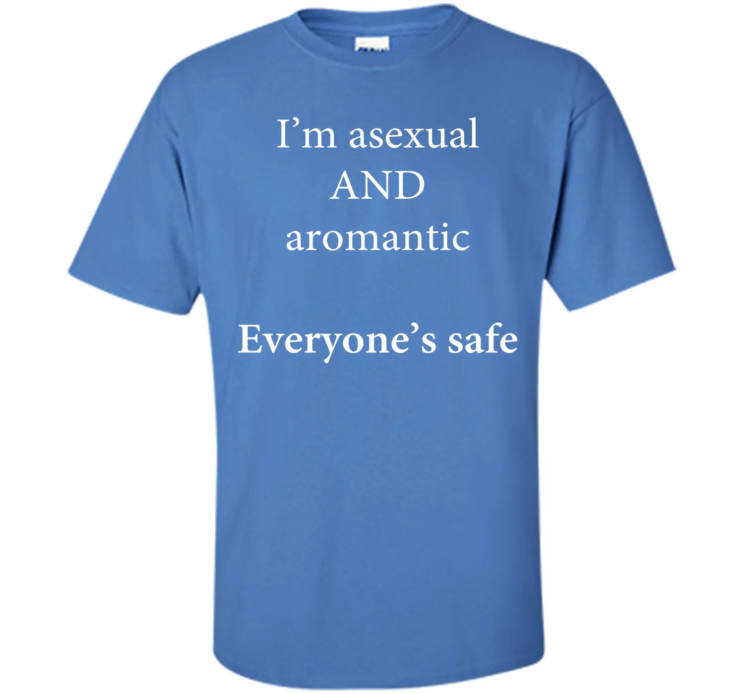 I'm Asexual and Aromantic, Everyone's Safe T-Shirt