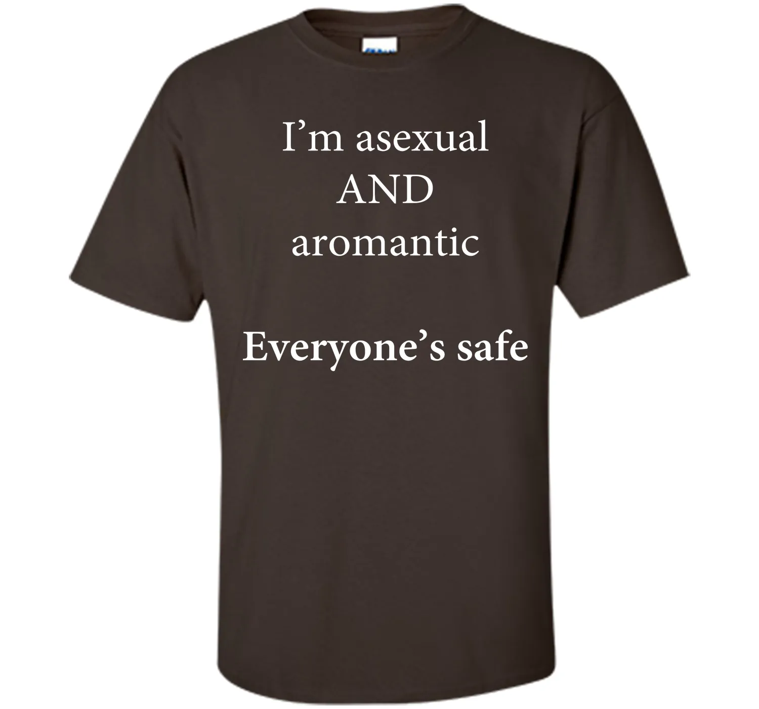 I'm Asexual and Aromantic, Everyone's Safe T-Shirt