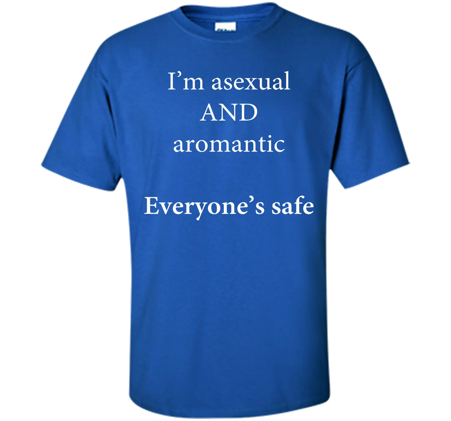 I'm Asexual and Aromantic, Everyone's Safe T-Shirt