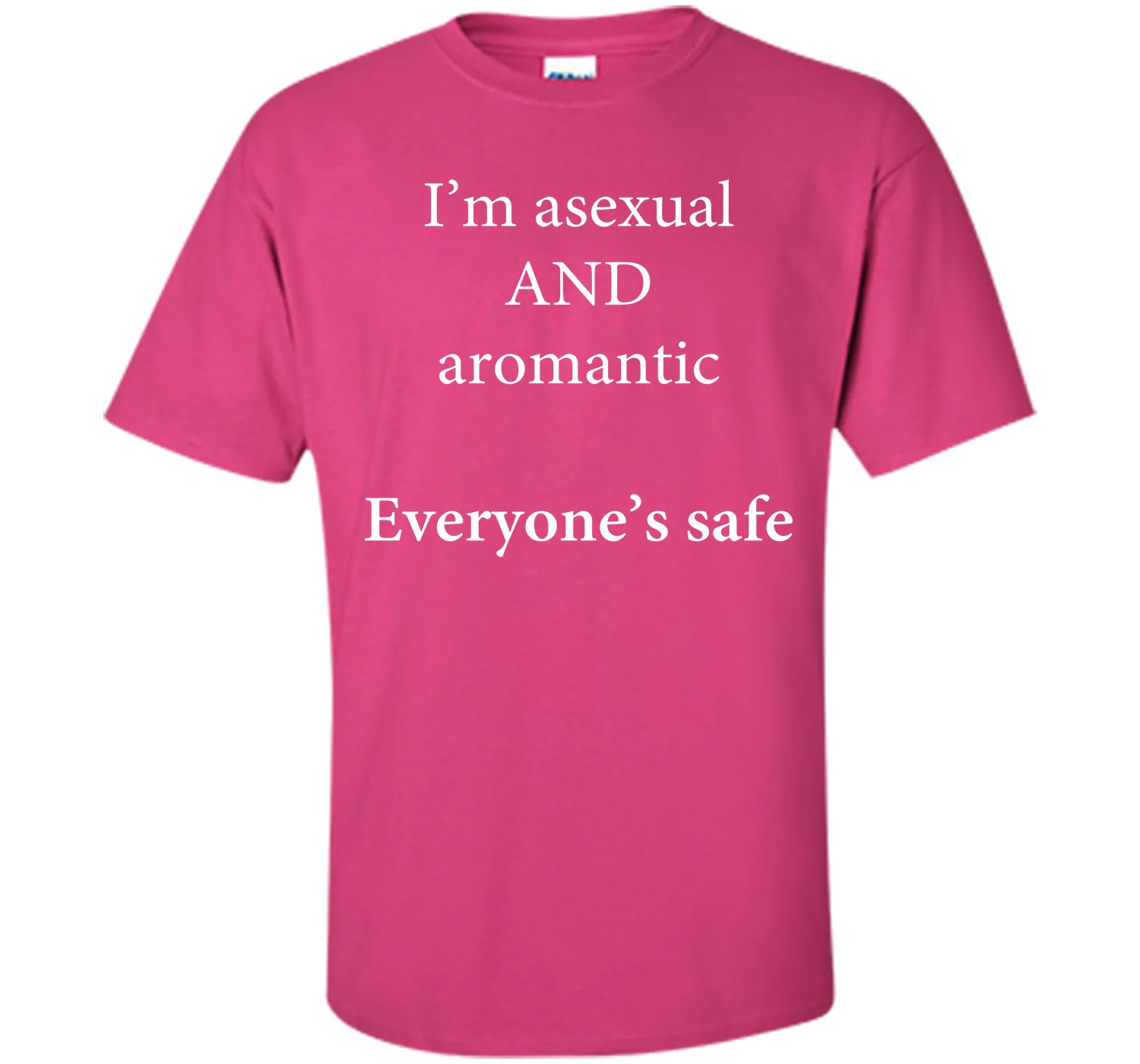 I'm Asexual and Aromantic, Everyone's Safe T-Shirt