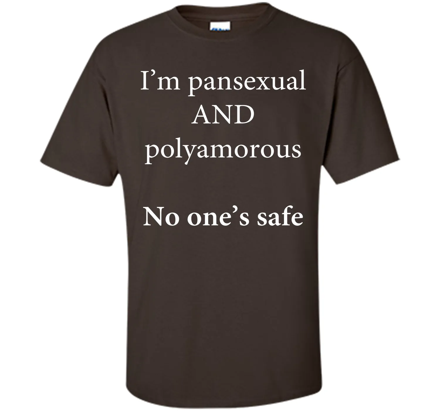 I'm Pansexual and Polyamorous, No One's Safe T-Shirt