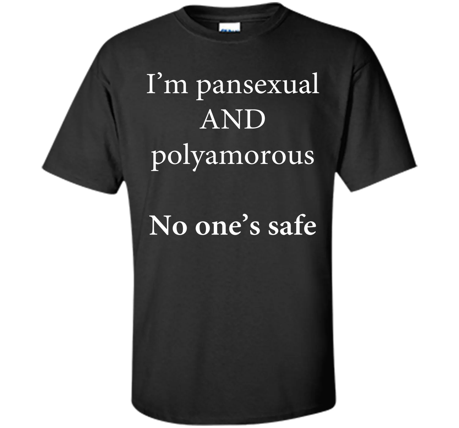 I'm Pansexual and Polyamorous, No One's Safe T-Shirt