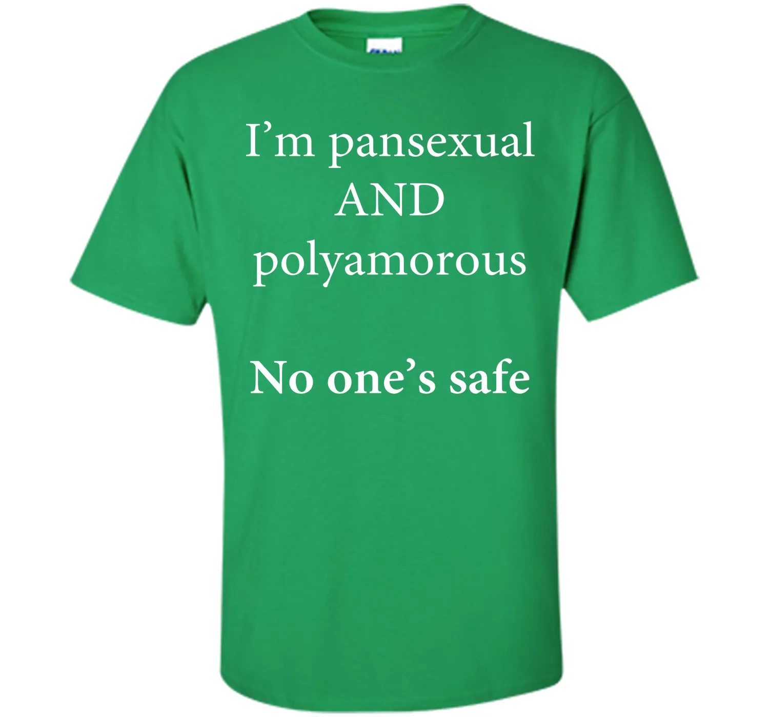 I'm Pansexual and Polyamorous, No One's Safe T-Shirt