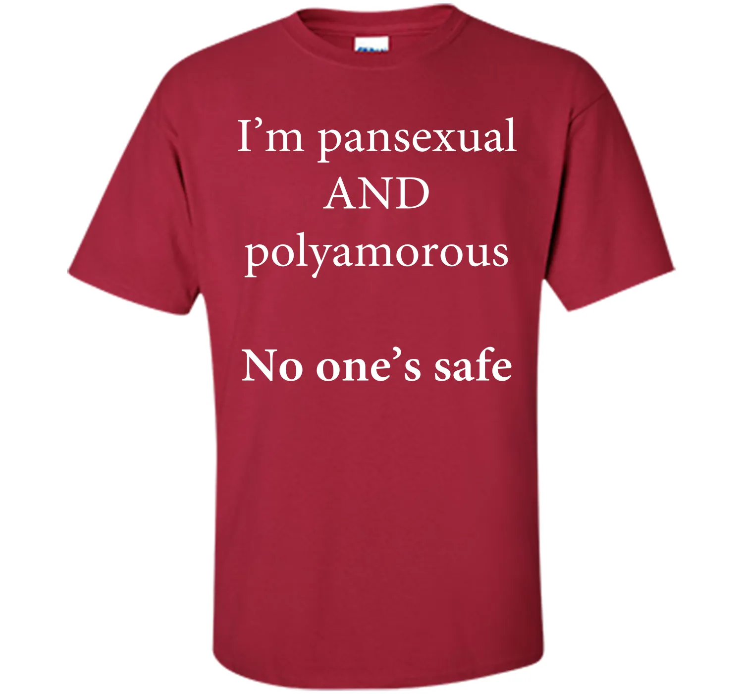I'm Pansexual and Polyamorous, No One's Safe T-Shirt