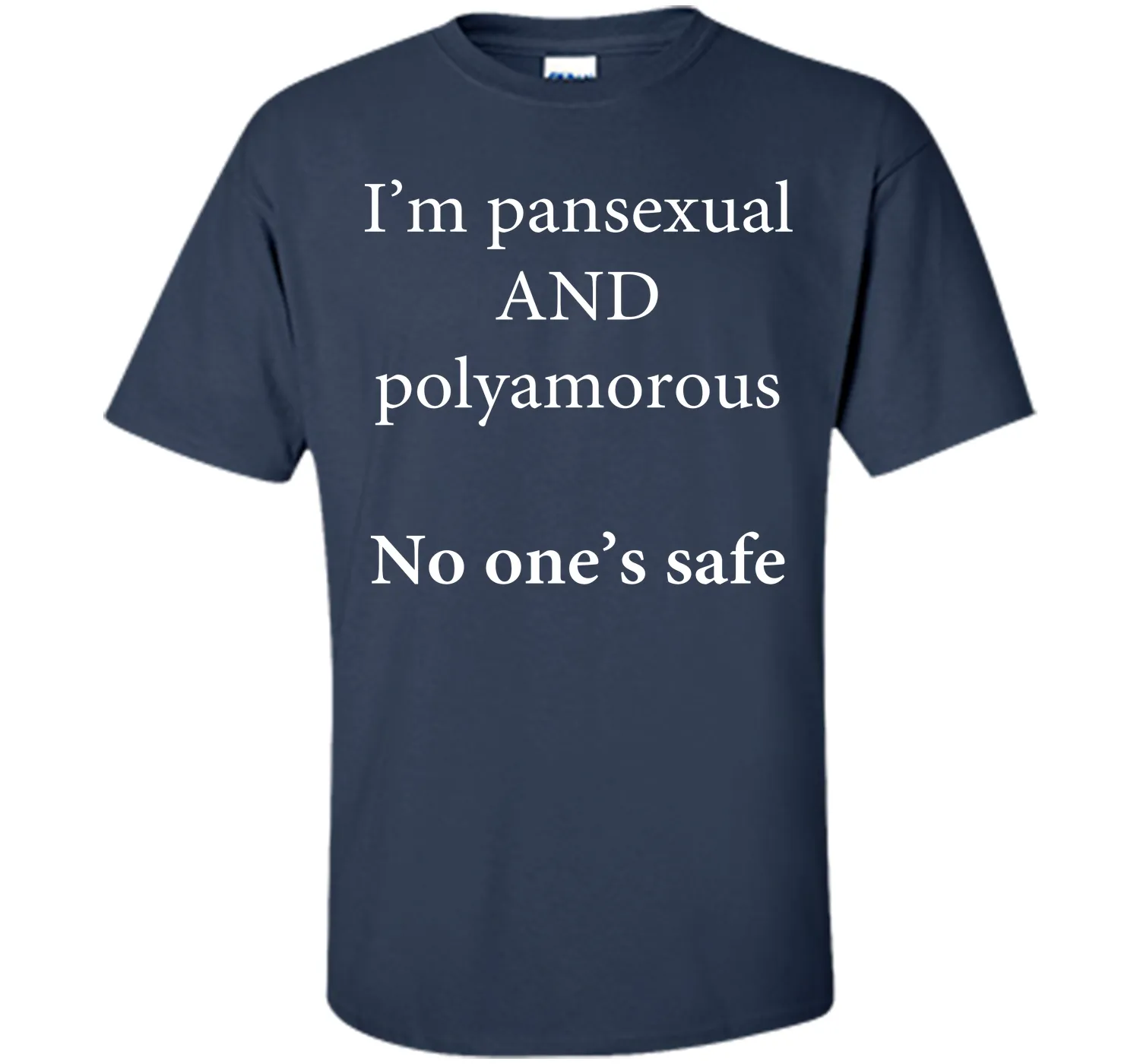 I'm Pansexual and Polyamorous, No One's Safe T-Shirt