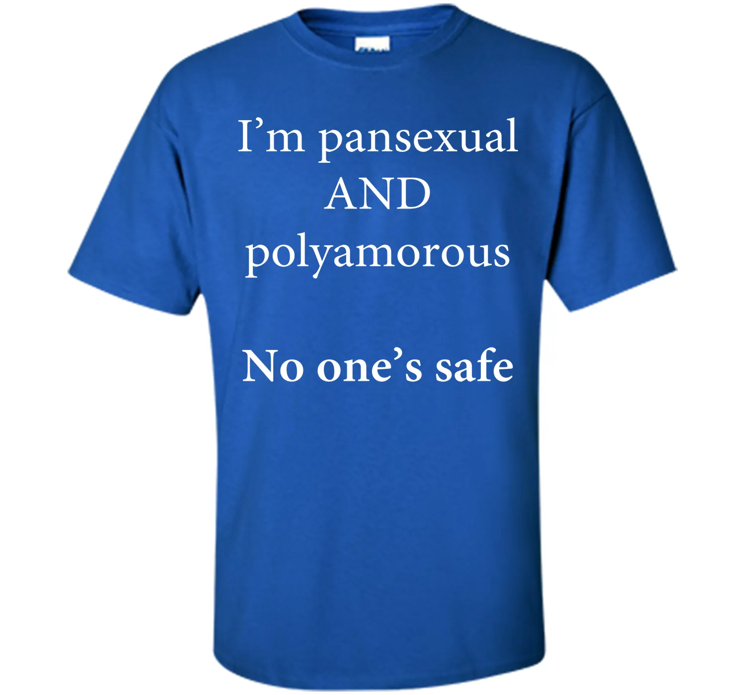 I'm Pansexual and Polyamorous, No One's Safe T-Shirt