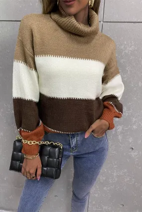 Inevitably Warm Color Block Turtleneck Sweater