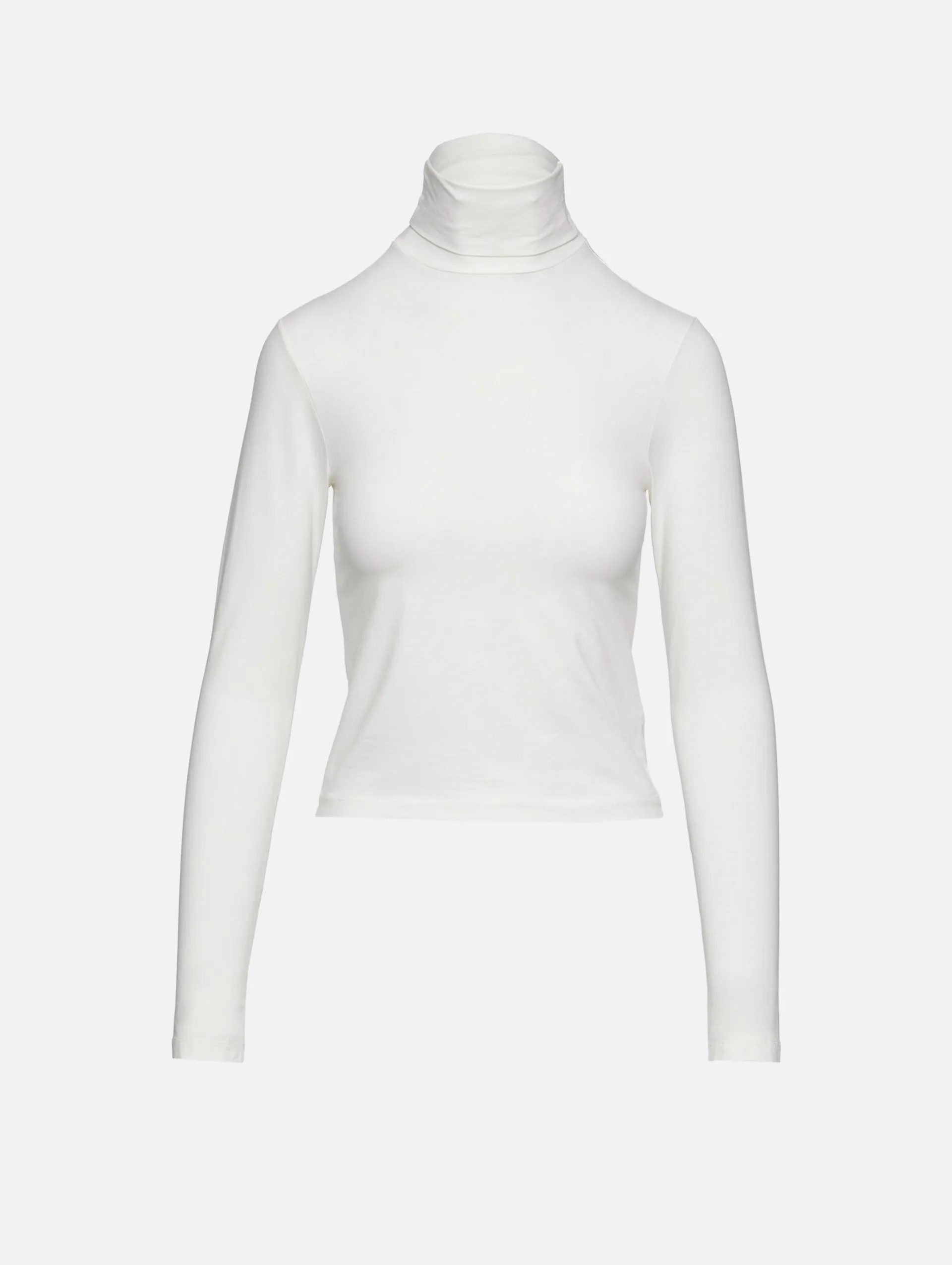 Sheer Turtleneck Top