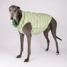 The Winterproof Reversible Dog Puffer Jacket | Elm Green
