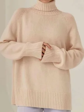 Warm Option Turtleneck Knit Sweater